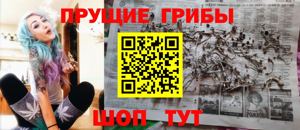 Псилоцибиновые грибы GOLDEN TEACHER  Вход с VPN  купить закладку  Южно-Сахалинск 